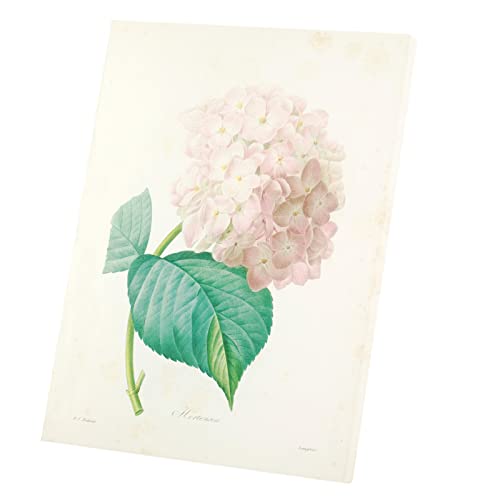 Hortensia tableau botanique ancien crée une ambiance salon vintage