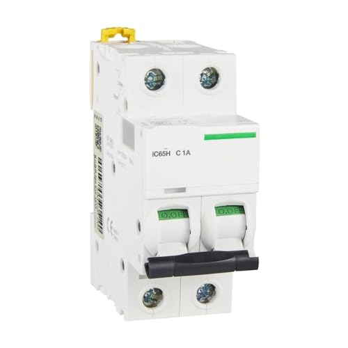 Disjoncteur de protection contre les fuites IC65H 2P 40A 10KA pour circuit électrique