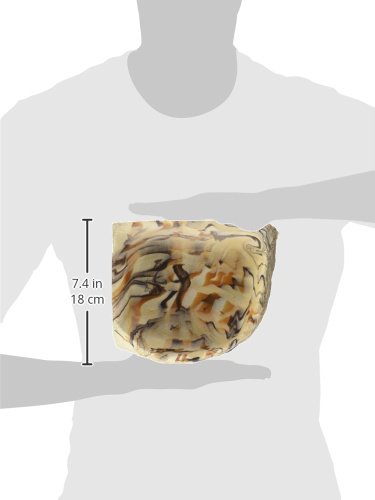 Rock Garden 10 x 10 x 1.25" Earthtone Corner Bowl, Large - Thumbnail 2