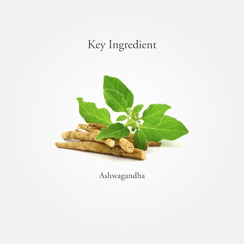 Sitaram Ayurveda Ashwagandha Capsules | Ayurvedic Rasayana for Energy, Stress Balance & Immunity Support | 60 Veg Capsules