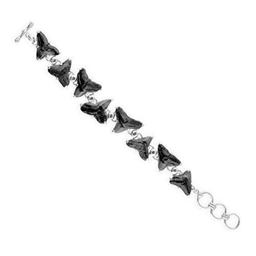 Starborn Fossil Shark Tooth Bracelet in Sterling Silver4