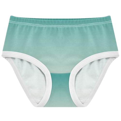 Joisal Cartoon Toddler Underwear Floral 2t Cotton Panties for Girl Green Old Lace Gradient Undies Kids Briefs