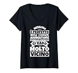 Animatore pubblici esercizi detto divertente