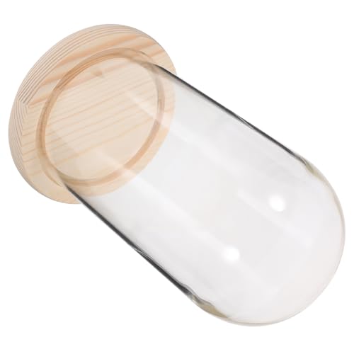 ARTSEWPLY Cloche Dôme en Verre Transparent 9x18 Cm Socle en Bois Naturel, Vitrine Décorative pour Fleurs Éternelles, Mini Jardin sous Globe, Présentation...