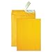 Quality Park 41420 Redi Strip Catalog Envelopes, High Bulk, 9-Inch X12-Inch, 250/Ct, Kft