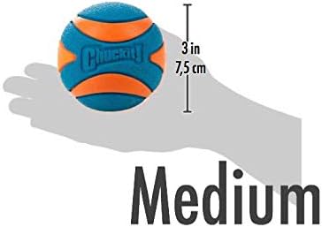 Chuckit - Ultra Squeaker Ball 2 Pack - 1 piece,Medium, 2 Pack