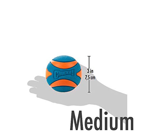 Bola Chuckit Ultra Squeaker Apito 2Un M Para Cães Chuckit para Cães, Azul, Medio