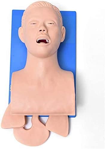 Amazon.co.jp: CHROX PVC 人間の気管挿管トレーニングモデル、成人用