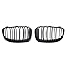 AceRide Double Line Front Bumper Kidney Grille Grill Compatible with BMW 1 Series E81 E82 E87 E88 2008 2009 2010 2011 2012 2013 Dual Slats Grills