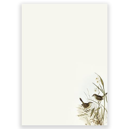 Image of alterEgo Letter Writing Paper and Envelopes (A5 Size, Pack of 24) - Stationery Ideal for Poems, Lyrics, Invitation, Expressing Gratitude etc - with Envelopes made of premium Kraft paper (Avian Duo)