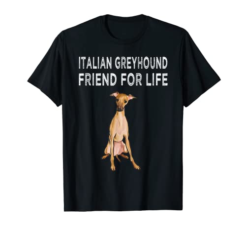 Amigo Para La Vida De Pequeño Galgo Italiano Perro Camiseta