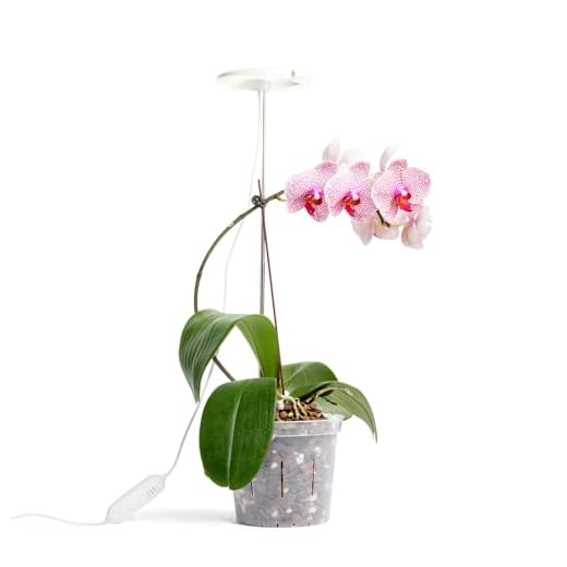 rePotme Grow Light for Orchids, Lumina Orchid, Full Spectrum Plant Light with Adjustable Height and Automatic Timer (White)