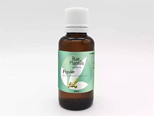 Gemmotherapie macérât de bourgeons de figuier - Renforcez votre bien-être naturellement avec ce macérat de bourgeons BIO