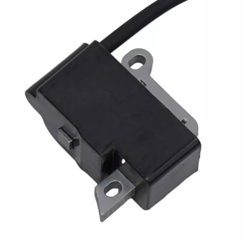 Bobina de encendido 4283 400 1301 repuesto de módulo electrónico para BR800 C 5