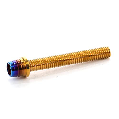 �L���b�v�{���g M5×35mm �e�[�p�[�V�F���w�b�h �J�X�^���{���g �f�U�C�� �w�b�h �X�e�����X�� �S�[���h&�`�^���J���[ 2�{�Z�b�g