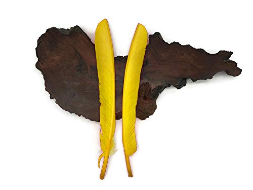 1/4 Lb - Yellow Turkey Pointers Wing Quill Large Wholesale Feathers (Bulk) Halloween Craft Party Costume Supplier | Moonlight Feather #TOP2