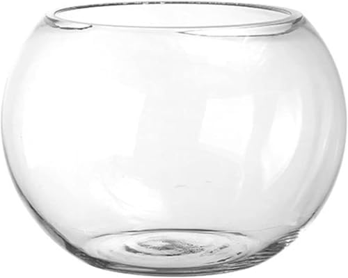 Conutoo   ی^ KX e ^[g^N e[u ANAE {E | e CeA IuWF eE ԕr  Ɏqr Ԋ t[x[X  (25cm,Ƃ߂傭)