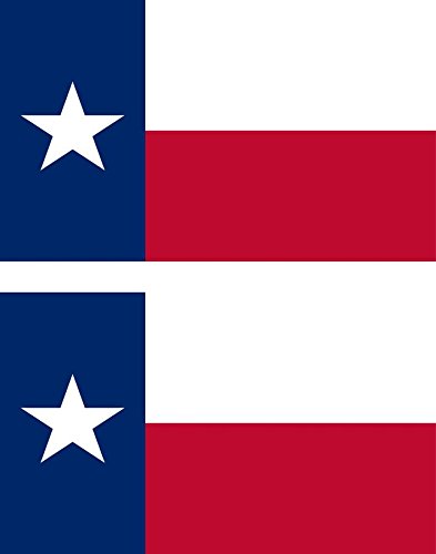 Akachafactory 2 x Autocollant Sticker Voiture pc Vinyl Drapeau USA americain Texas