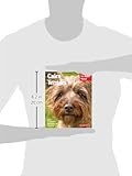Cairn Terriers: Everything About Purchase, Care, Nutrition, Grooming, Behavior, and Training (Complete Pet Owner's Manual)