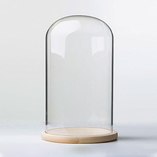 TIHONORI Présentoir dôme Cloche en Verre de 20 cm de diamètre avec Socle en Bois Massif pour...
