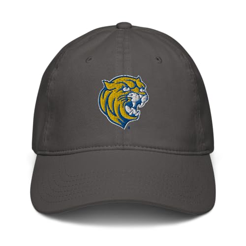 Gorra ajustable Johnson and Wales Wildcats oficial miniatura 2