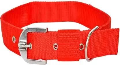 Dog Trust Dog Collar Belt Size 1.5 Inch (Red Color Large, Red 1.5 inch Collar) (B0BFRKNKF5) Amazon Price History, Amazon Price Tracker
