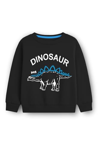 Image of Trampoline Pack of 3 Boys & Girls Graphic Printed Sweatshirts | Fleece Winter Wear