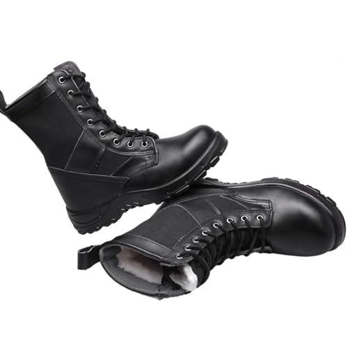 [SEINIES] SC  u[c Y {At ~ h Z[teB[V[Y ܐی c hʂh~ ݔh~ h h H ҂ݏグ [XAbv H AEghA 