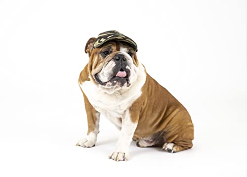 Puplid Baseball Caps For Dogs - Premium Stylish Sun Protection For The Modern Dog (Large, Camo) #TOP4