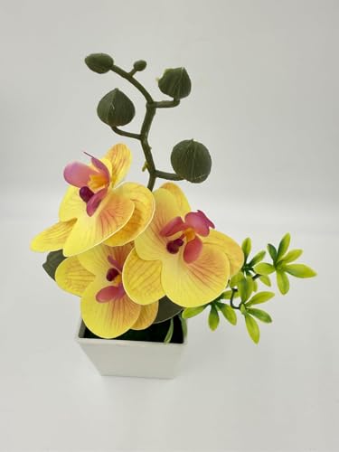 Image of Florona Artificial Orchid Flowers for Decoration with White Plastic Pot | 25 cm Artificial Flowers with Pot | Phalaenopsis Flower with Vase | Realistic Flower for Home, Bedroom, Office (Yellow)