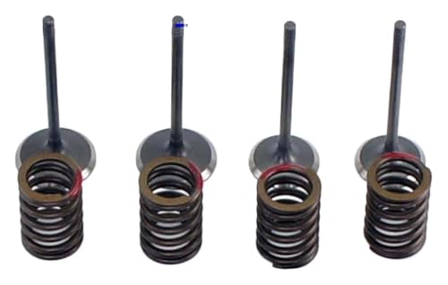 Ensemble d'admission CF600ATR CF600AU pour moteur SSV ATV UTV