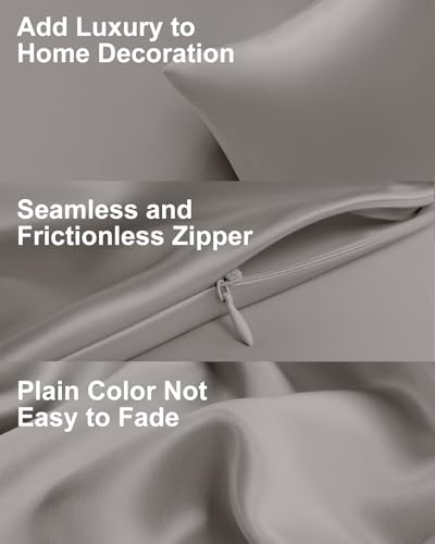 THXSILK Silk Pillowcase for Hair and Skin, 100% Mulberry Silk Bed Pillowcase with Hidden Zipper, Grade 6A+ Silk Soft Breathable Smooth, King Pillow Case (Grey)