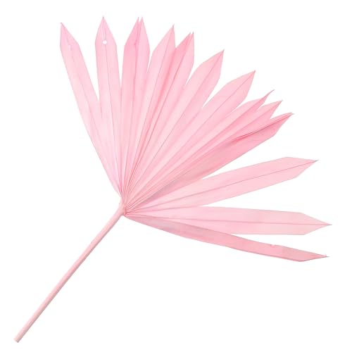 ARTIBETTER Decorazione da Appendere alla Parete Foglie di Palma Secche Rosa Materiale per Composizioni Floreali e Ornamento Artistico per Matrimoni e Arredamento Casa