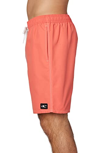 O'NEILL Men's 18 Santa Cruz Volley Board Shorts - Men's Swim Trunks with Fast-Drying Stretch Fabric and Pockets2