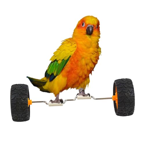 Opzioni di posizionamento adattabili: questo giocattolo di equilibrio per pappagallo ha una struttura leggera e un movimento senza sforzo, ideale per posizionamento in gabbia, su posatoi o come decorazione; aumenta il divertimento in più scene come case e negozi di animali