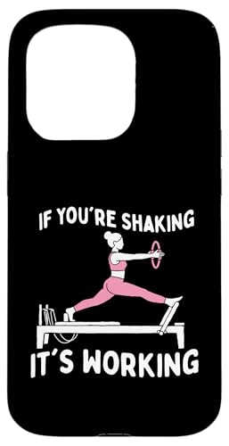 If You're Shaking It's Working - �s���e�B�X���D�ƃC���X�g���N�^�[ �X�}�z�P�[�X iPhone 15 Pro �p