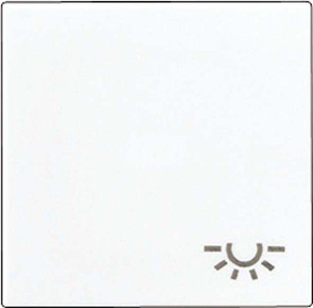 Jung A590LWW Wippe mit Symbol Licht