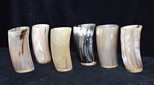 Viking Traders Medieval Handcrafted Norse Drinking Horn Glass Wooden Base Pack Of 6 For Beer Ale Mead And Wine Ceremonial Gift Pack #TOP3