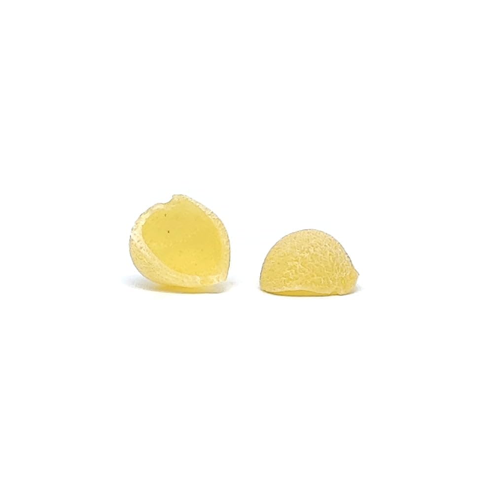 Pastidea - Trafila in bronzo e POM Orecchiette 15mm compatibile con Philips Pasta Maker Avance e Serie 7000