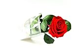 Las rosas preservadas son flores auténticas, que son cuidadosamente recogidas y preservadas mediante un procedimiento respetuoso con el medio ambiente y sin productos químicos.