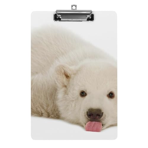 Porte-formulaires A4 ours polaire mignon avec pince rigide pour papier