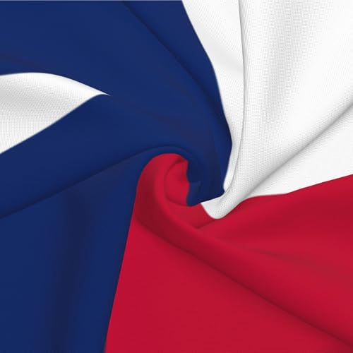 Housse de coussin drapeau du Texas taie déco salon et canapé - 7