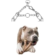 Adjustable Dog Collar with Locking Quick-Release Buckle Chrome Removable Links Leash Training Not Chaining Please! Extra Large 20 22 inch