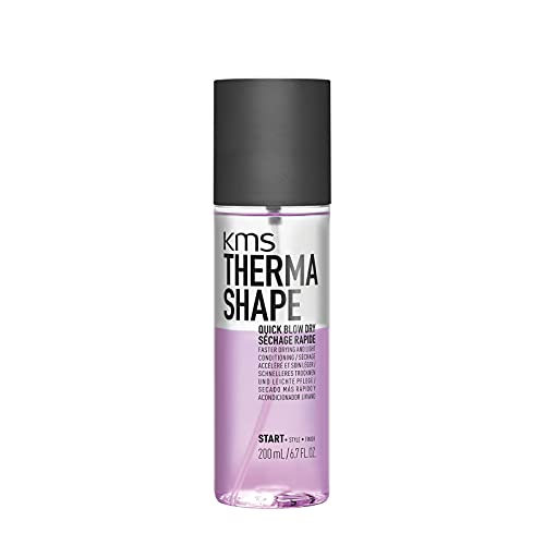 Top 10 Best Quick Blow Dry Spray Reviews & Buying Guide Katynel