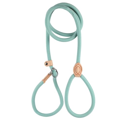 大型犬 リード 犬 人気 長め ペット リード しつけ用 庭 お出かけ ランニング おしゃれ 使いやすい 広場 庭用ジップライン 外飼い (ミントグリーン,Free)