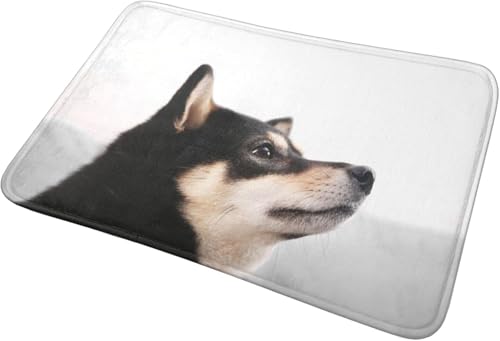 Zateem oX}bg փ}bg }bg  Č    C}bg ʏ}bg tln ϋv  KȊG 􂦂 ~ Ɩp ƒp 40×60cm