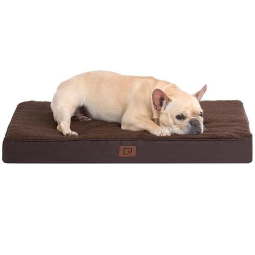 EHEYCIGA Cama Perros Medianos Ortopédica, 76x51x8cm Colchon Perro con Espuma De Caja De Huevos, Colchoneta Perro …