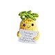 Dinghaole gestrickte Wolle Ananas Puppe Pocket Hug Positive Geschenke, Sternfrucht Mutmacher Geschenk für Frauen,Männer,Partner,Beste Freundin,Kollegen,Studenten
