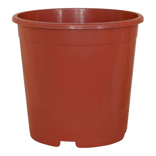 Preisvergleich Produktbild Geli Containertopf, Kunststoff, mit Ablauflöchern.