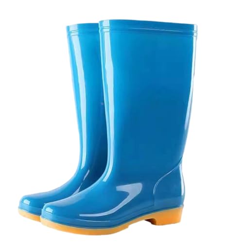 [CTN] Cu[c fB[X CV[Y JC hV[Y ZC ~h 24.0 cm O V[gu[c h ₷ ʋΒʊw AEghA lp fUC09